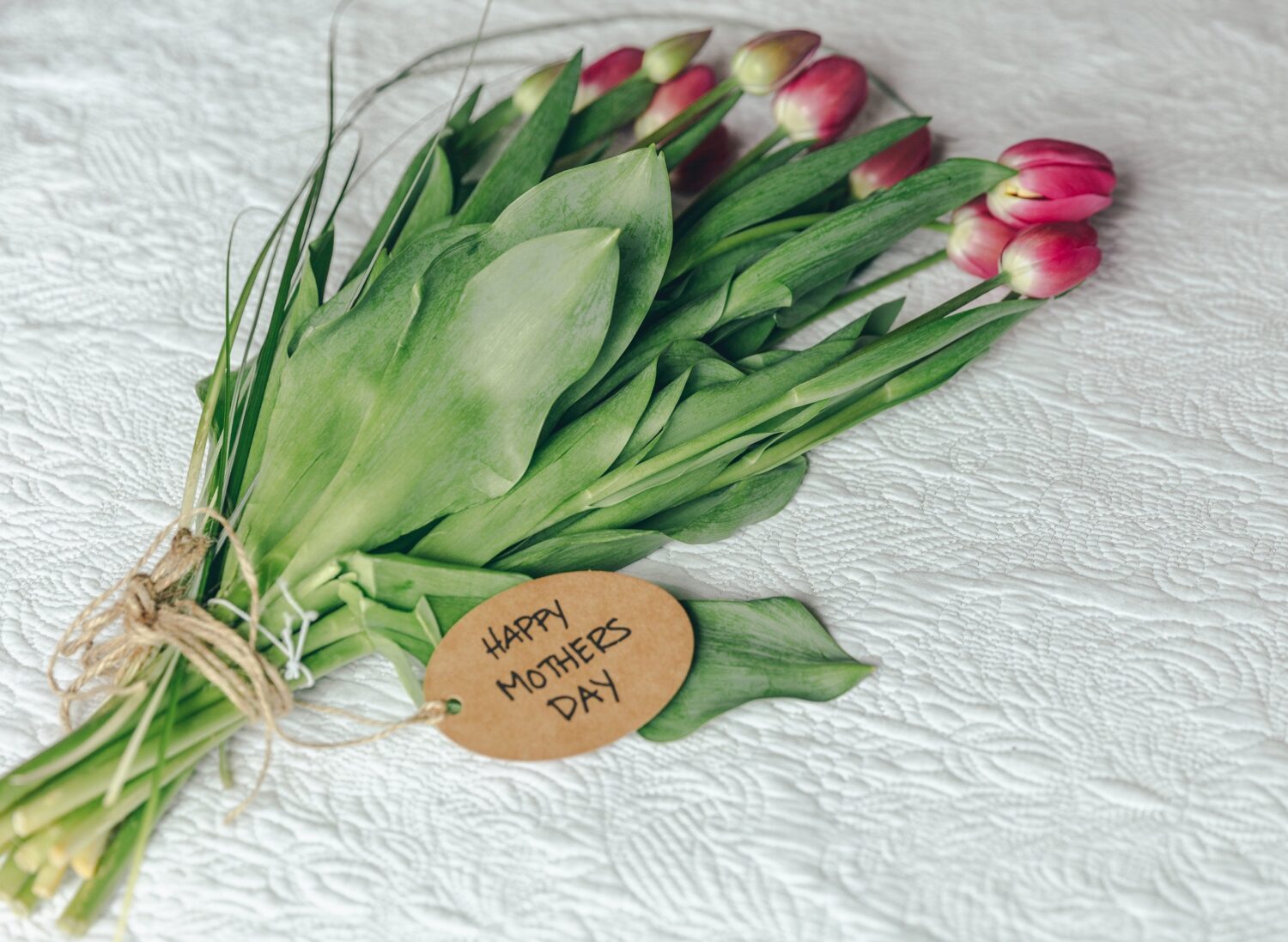 Tulip flowers with happy mothers day card.