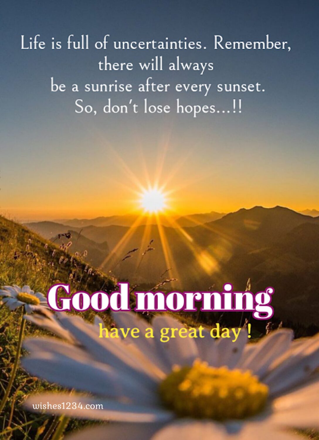 Rising sun with daisy flower, Good Morning Quotes.