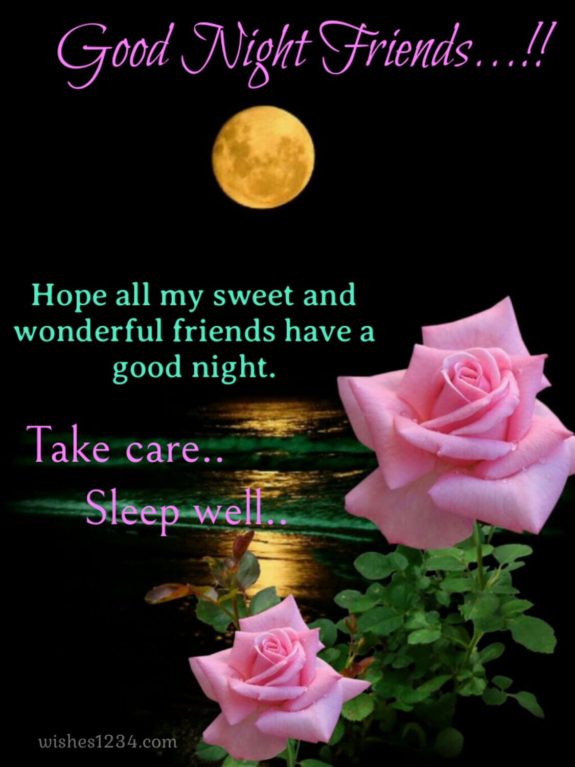 Two rose flowers, Good Night SMS for Friends.