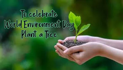 Plant a tree image, World environment day quotes.