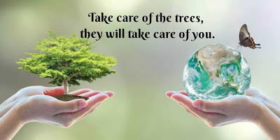 One hand taking care of tree and another hand earth, World environment day quotes.
