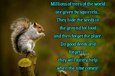 Squirrel sitting on tree branch, Super motivational quotes | Unique quotes on life.