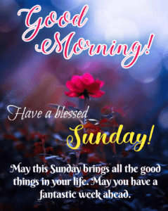 Happy Sunday | Good Morning Sunday - wishes1234.com