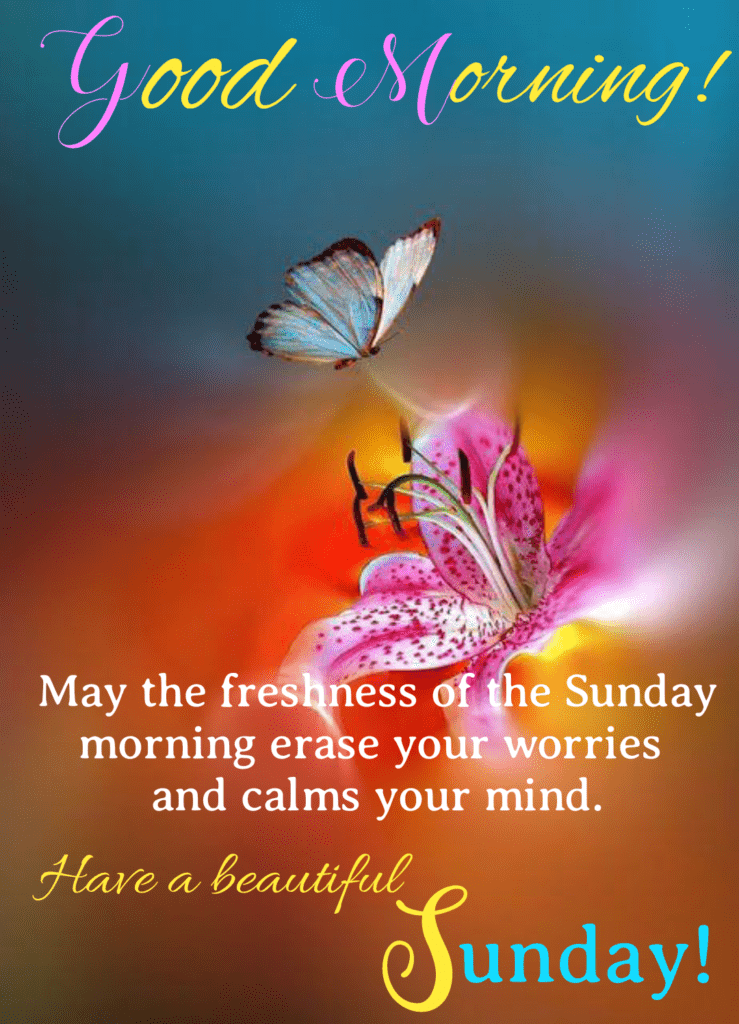 Happy Sunday Morning Quotes Happy Sunday | Good Morning Sunday - Wishes1234