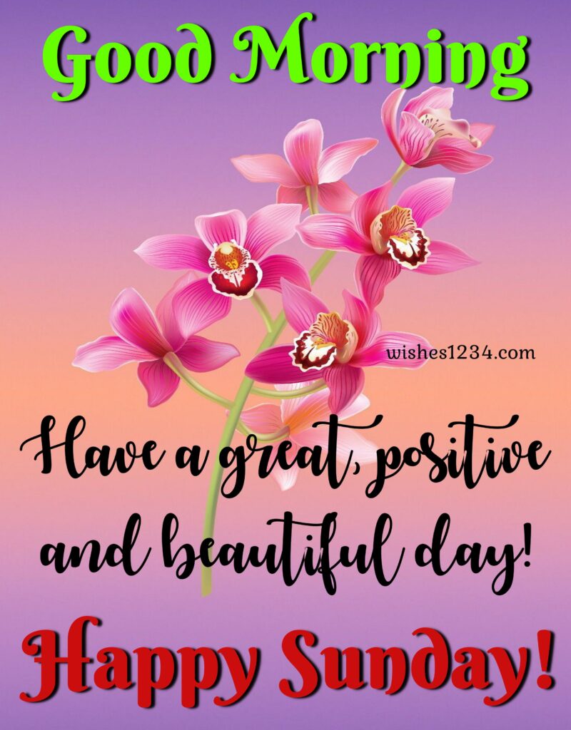 Sunday wishes image with pink orchid, Happy Sunday quotes and images.