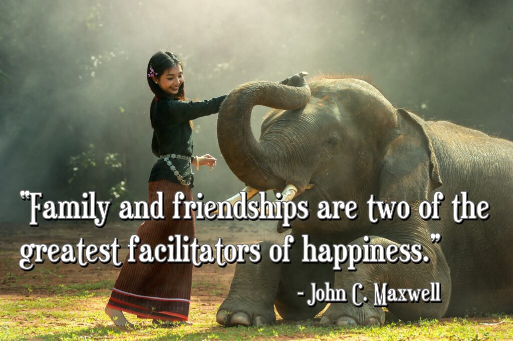 Girl playing with elephant, Friendship quotes.
