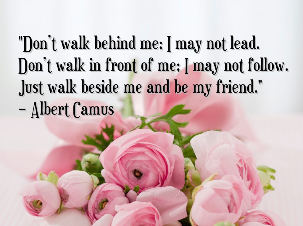 Pink rose bouquet, Friendship quotes.