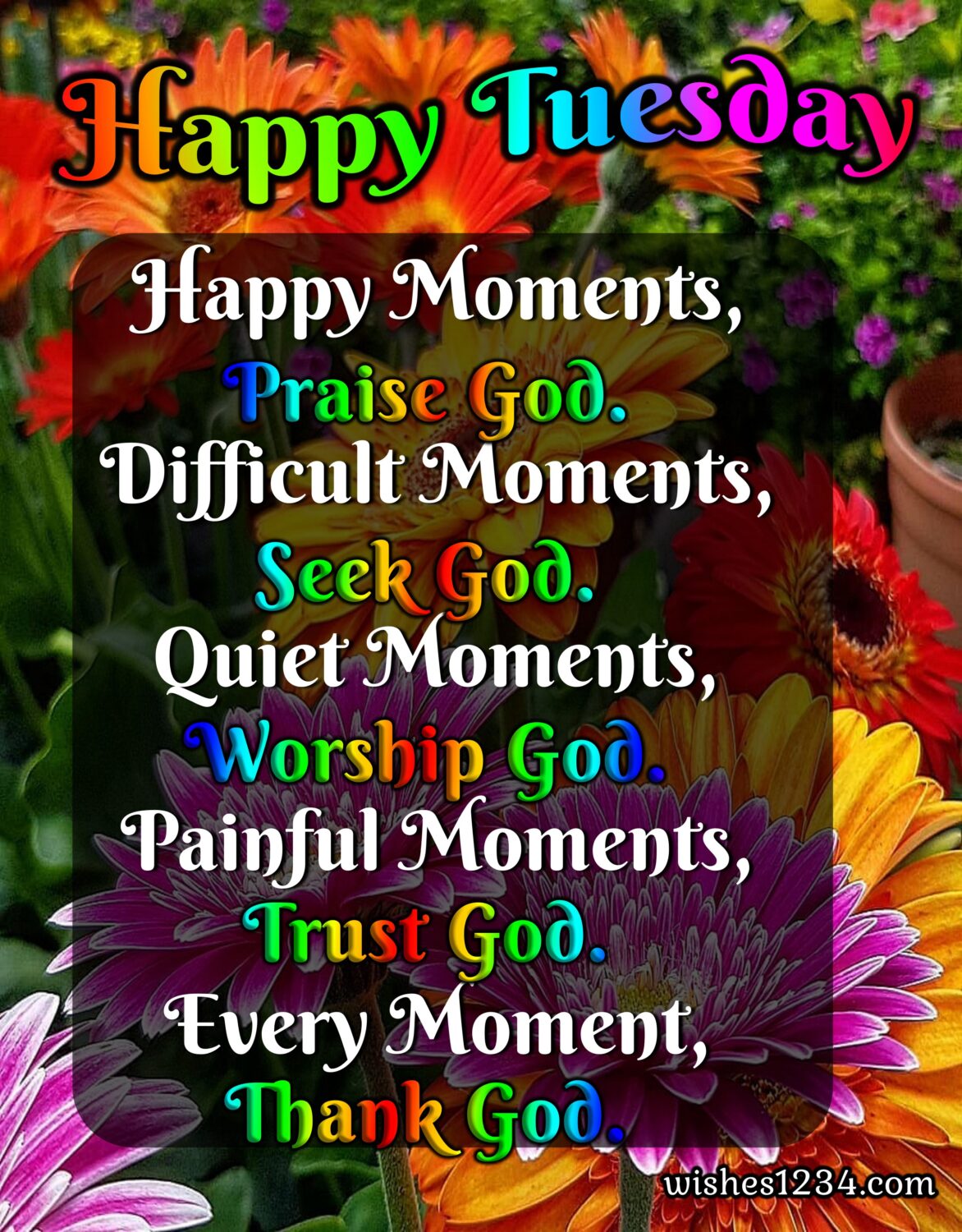 Tuesday quotes with flowers background, Happy Tuesday Quotes.