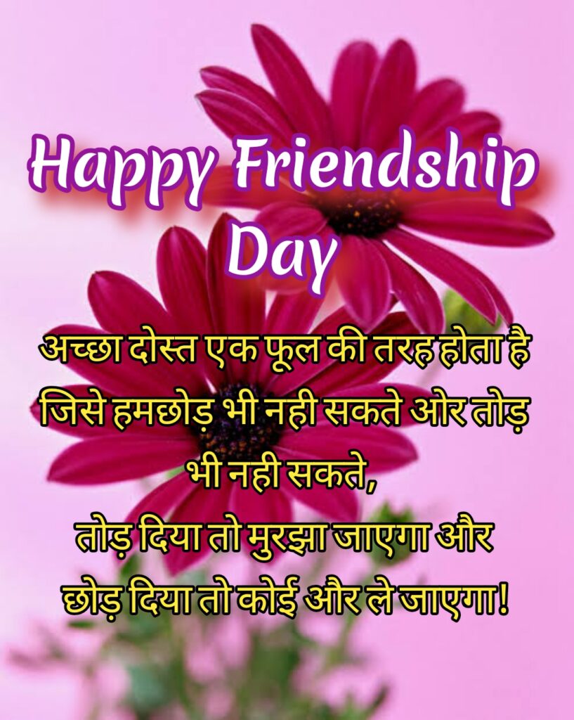 Two zinnia flowers, Friendship quotes | Happy Friendships Day hindi.
