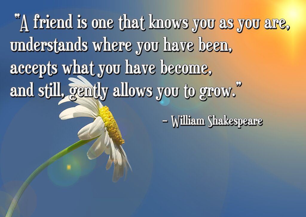 White daisy flower, Friendship quotes.