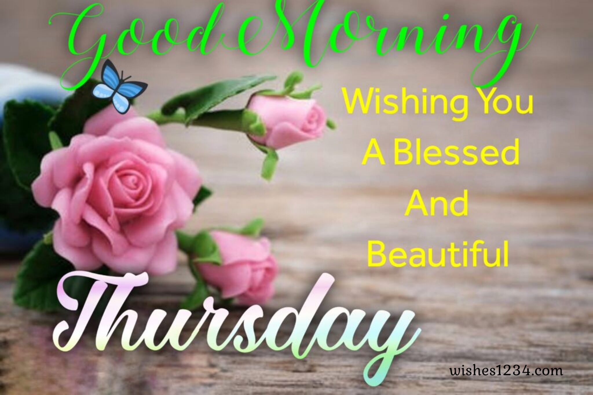 Happy Thursday | Thursday Quotes - wishes1234