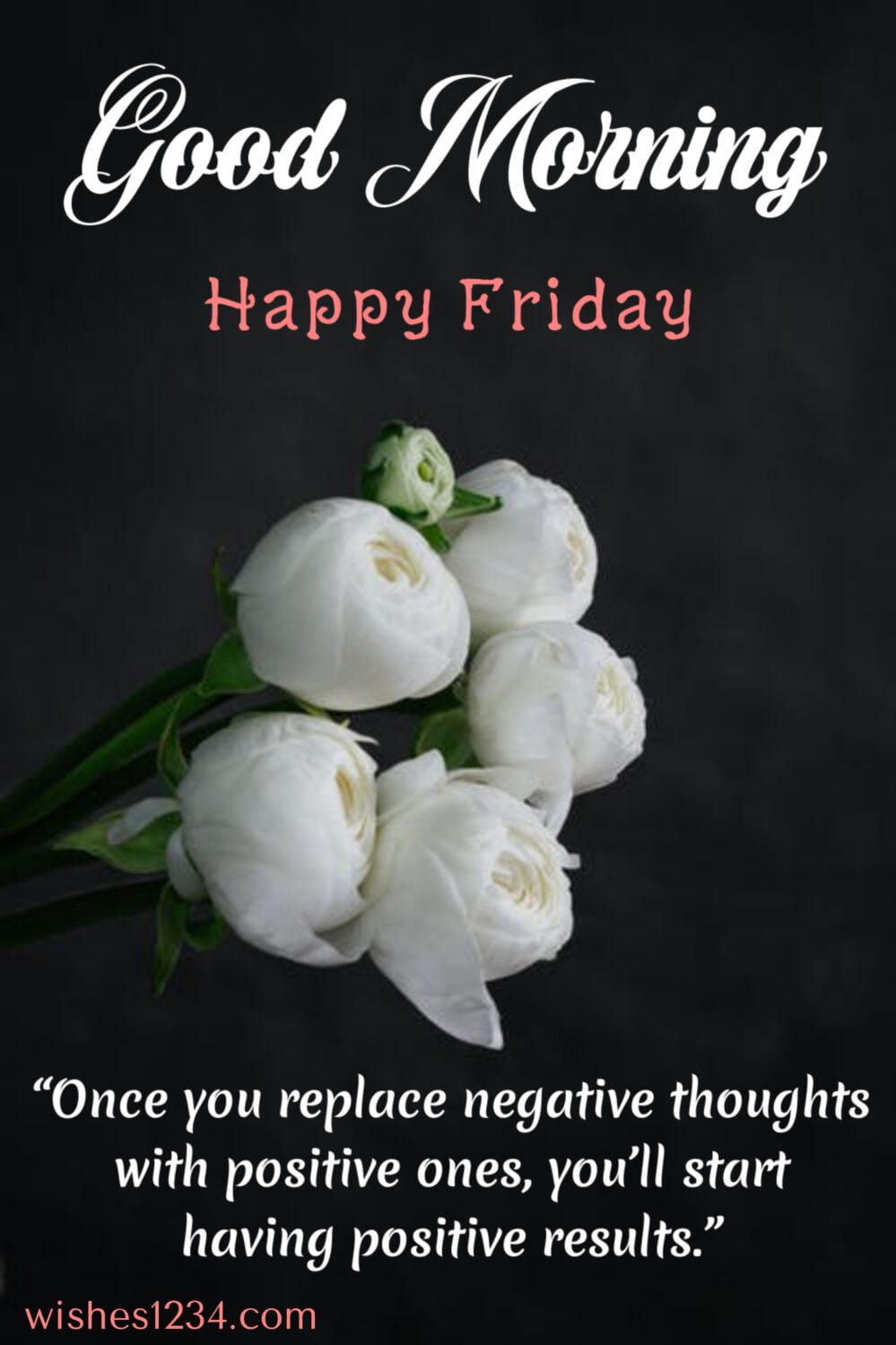 Bunch of white roses, Quotes about Friday | Friday blessings.