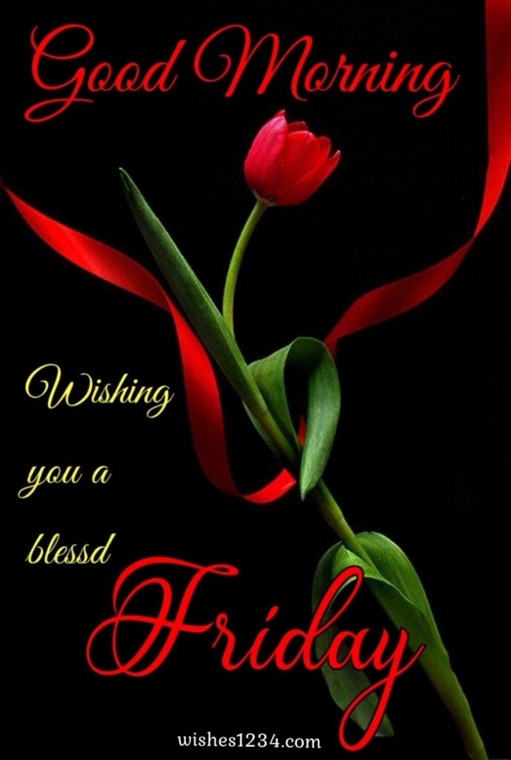 Red tulip flowers, Quotes about Friday | Friday blessings. 