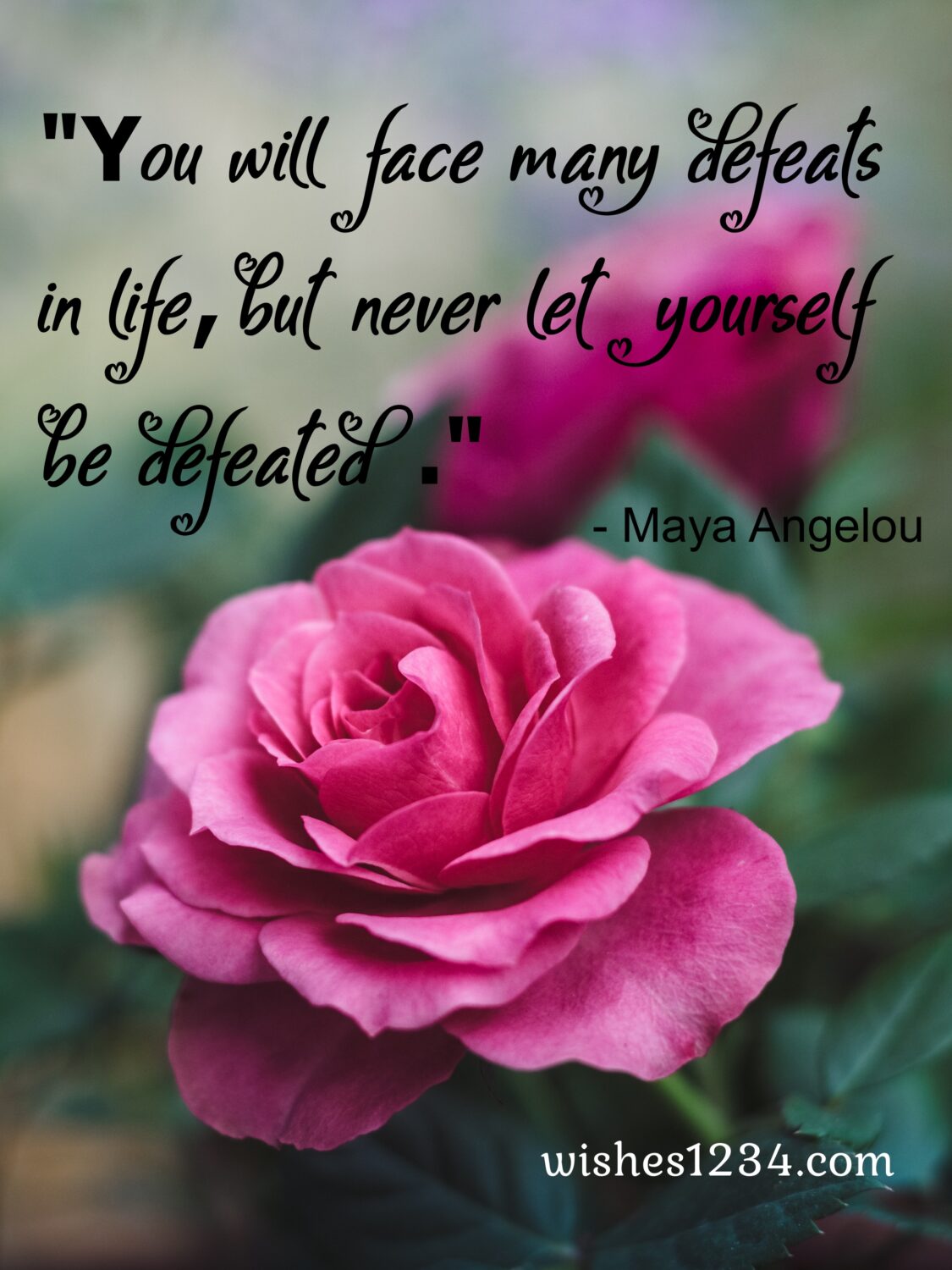  Rose flower with Maya Angelou quote, Super motivational quotes | Unique quotes on life.