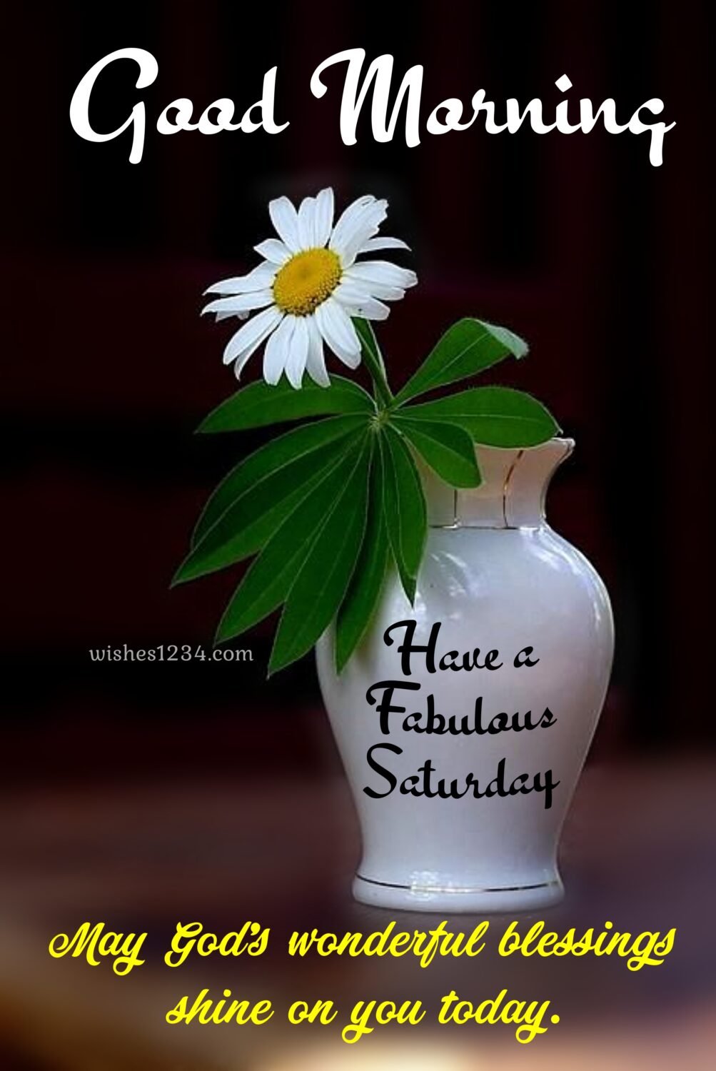 White daisy in flower pot, Saturday Quotes.