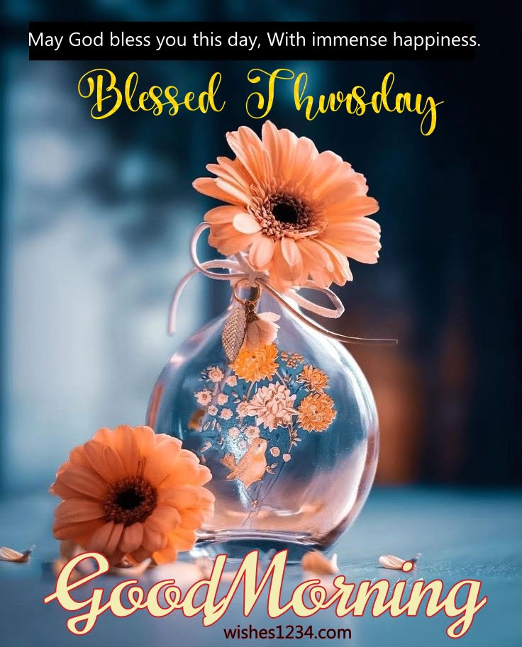 Orange daisy flower in a vase, Good Morning Thursday | Thursday quotes.