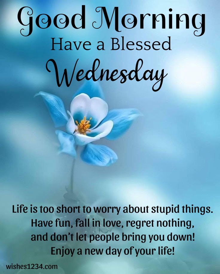 Blue flower image, Wednesday Quotes | Wednesday blessings.