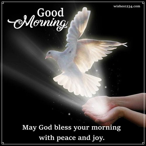 Dove in hands, Good Morning Thursday | Thursday quotes.