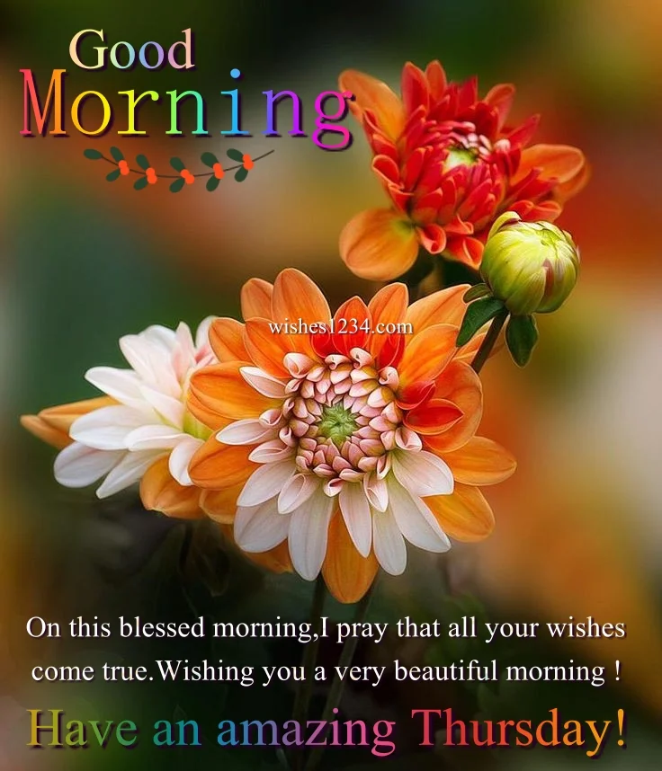 Chrysanthemum flowers, Good Morning Thursday | Thursday quotes.