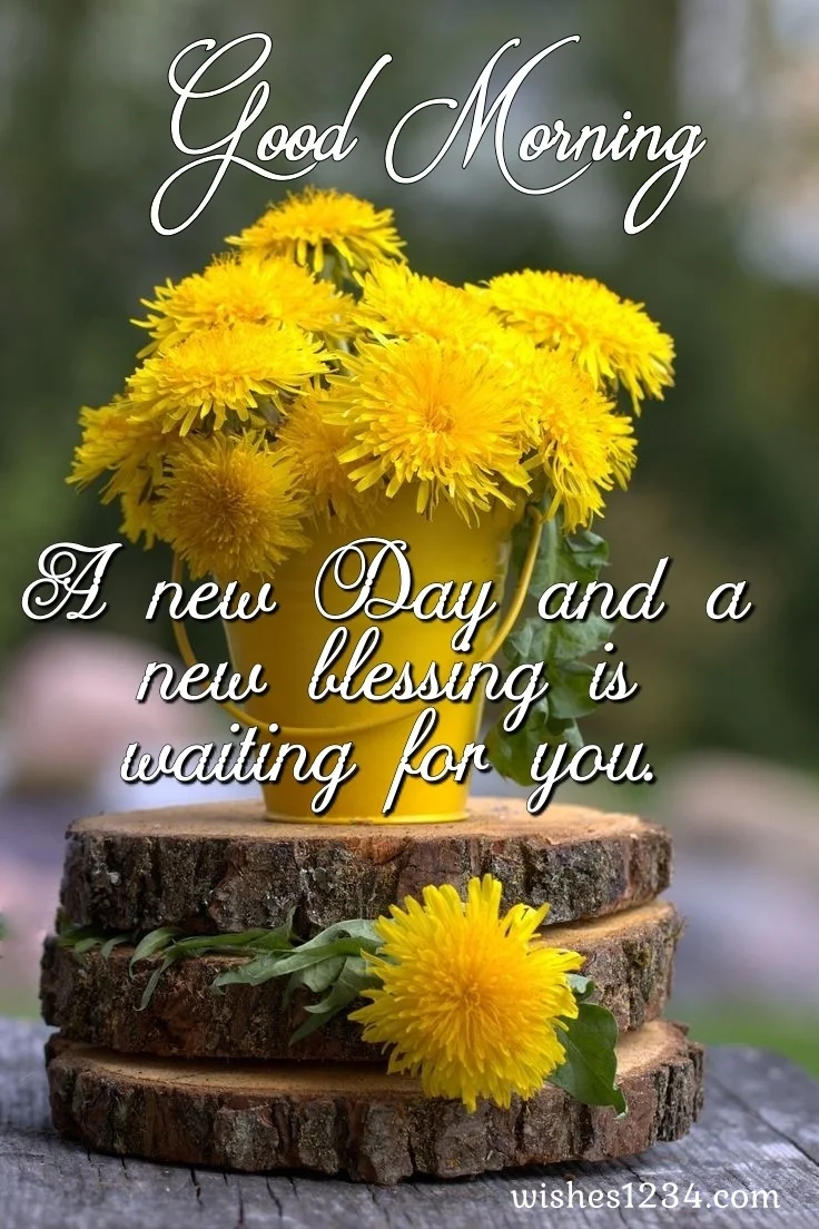 Small Yellow bucket on wooden pieces, Happy Tuesday Quotes| Tuesday Quotes