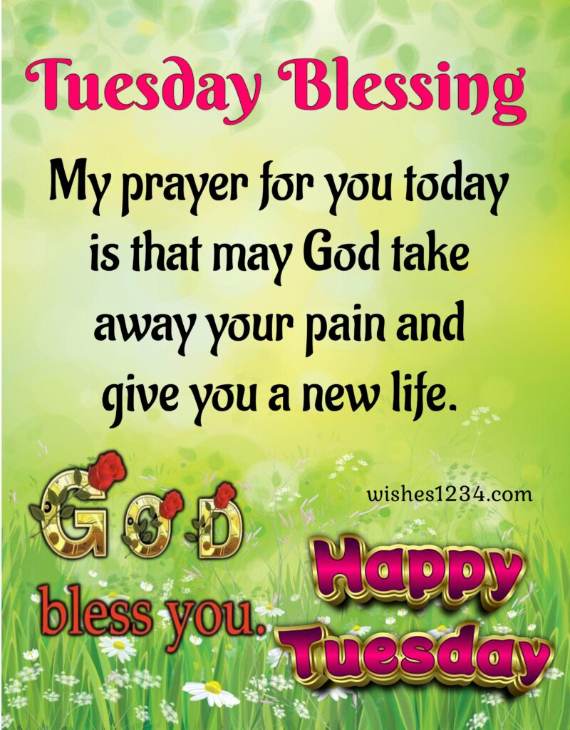 Tuesday blessing with flower background.