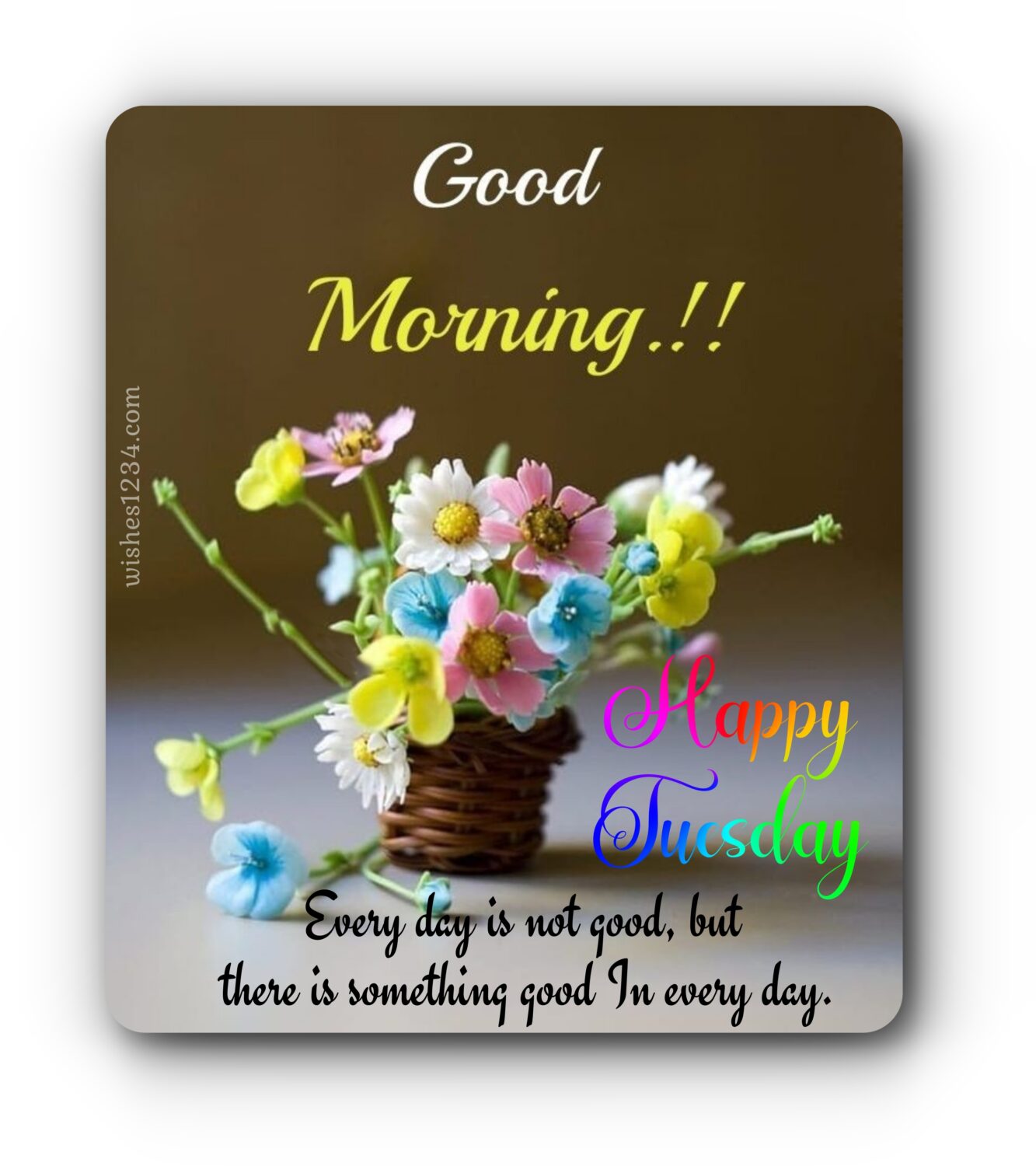Twigs flower pot with colourful flowers, Happy Tuesday Quotes| Tuesday Quotes