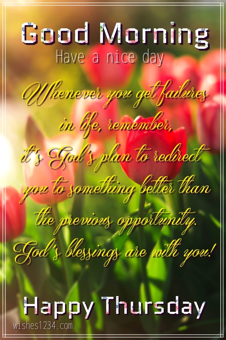 Red Poppy flowers, Good Morning Thursday | Thursday quotes.