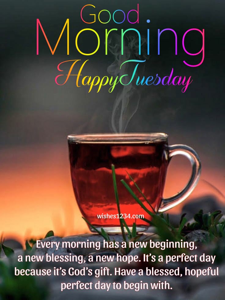 Tea cup on rocks, Happy Tuesday Quotes| Tuesday Quotes