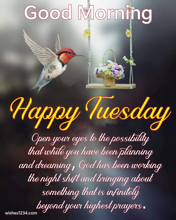 Flying bird and flower vase on swing, Happy Tuesday Quotes| Tuesday Quotes
