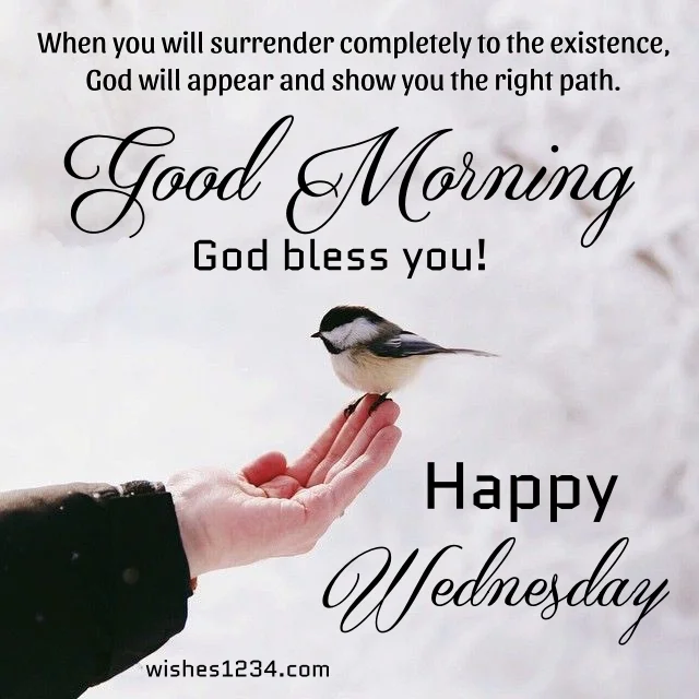 Sparrow sitting on hand, Wednesday Quotes | Wednesday blessings.