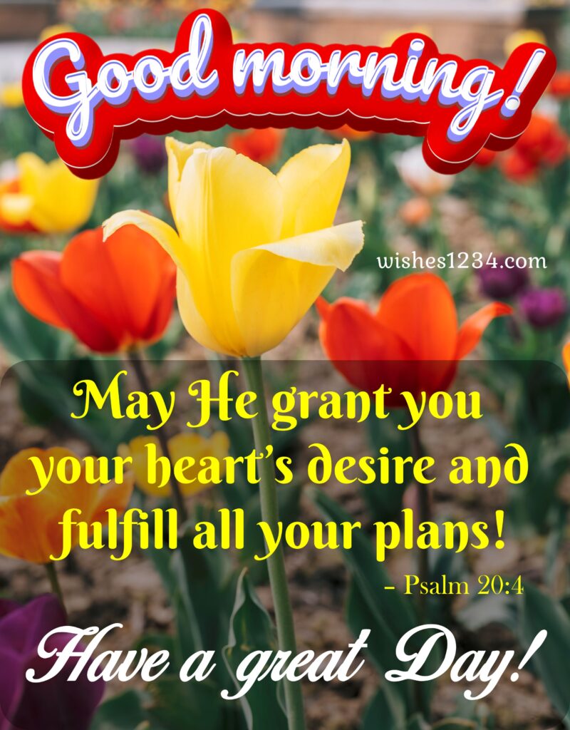 Good morning blessings with red and yellow tulips, Wednesday quotes.