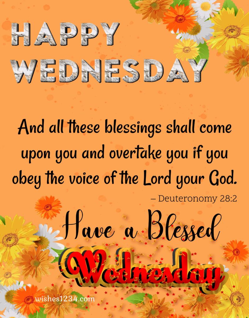 Happy Wednesday blessings with aster flower background, Wednesday quotes.