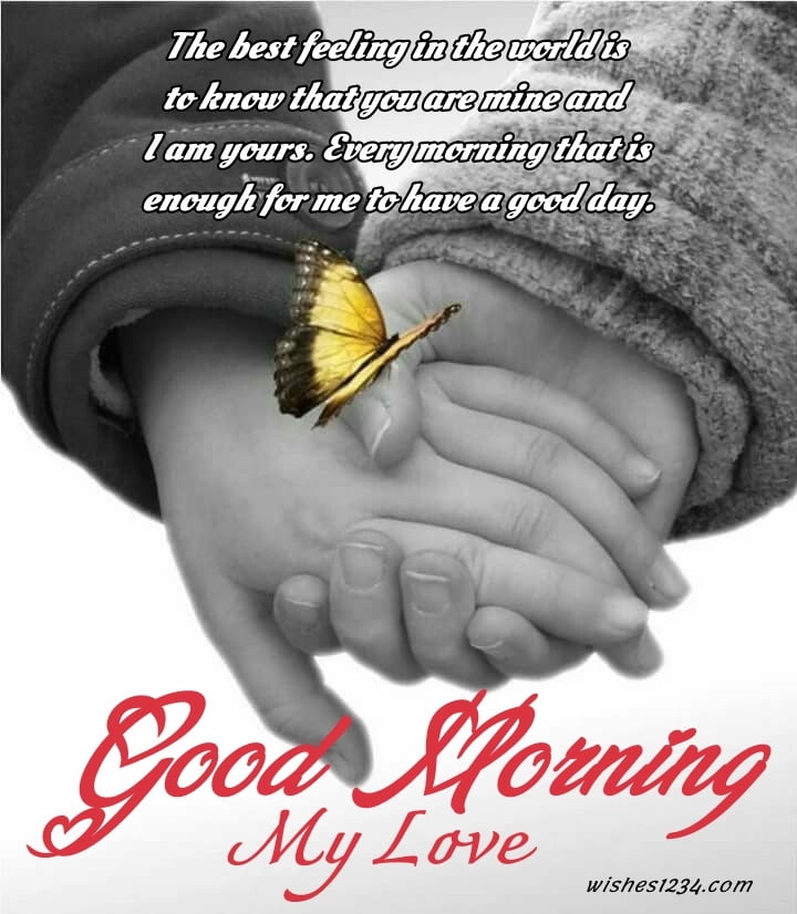 Lovers holding each others hand, Good Morning Message | Good Morning Images.