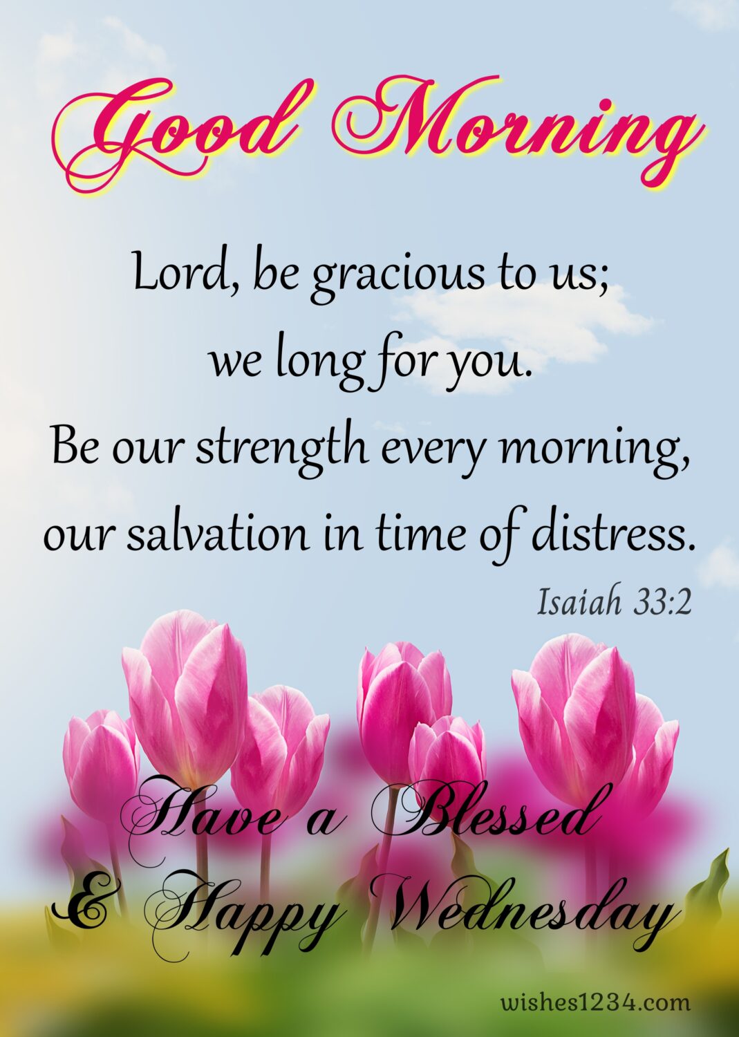 Red tulips background, Wednesday Quotes | Wednesday blessings.
