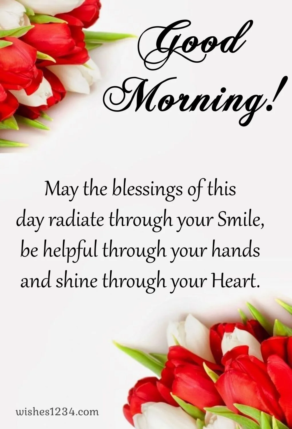 Red & white tulip flowers border, Wednesday Quotes | Wednesday blessings.
