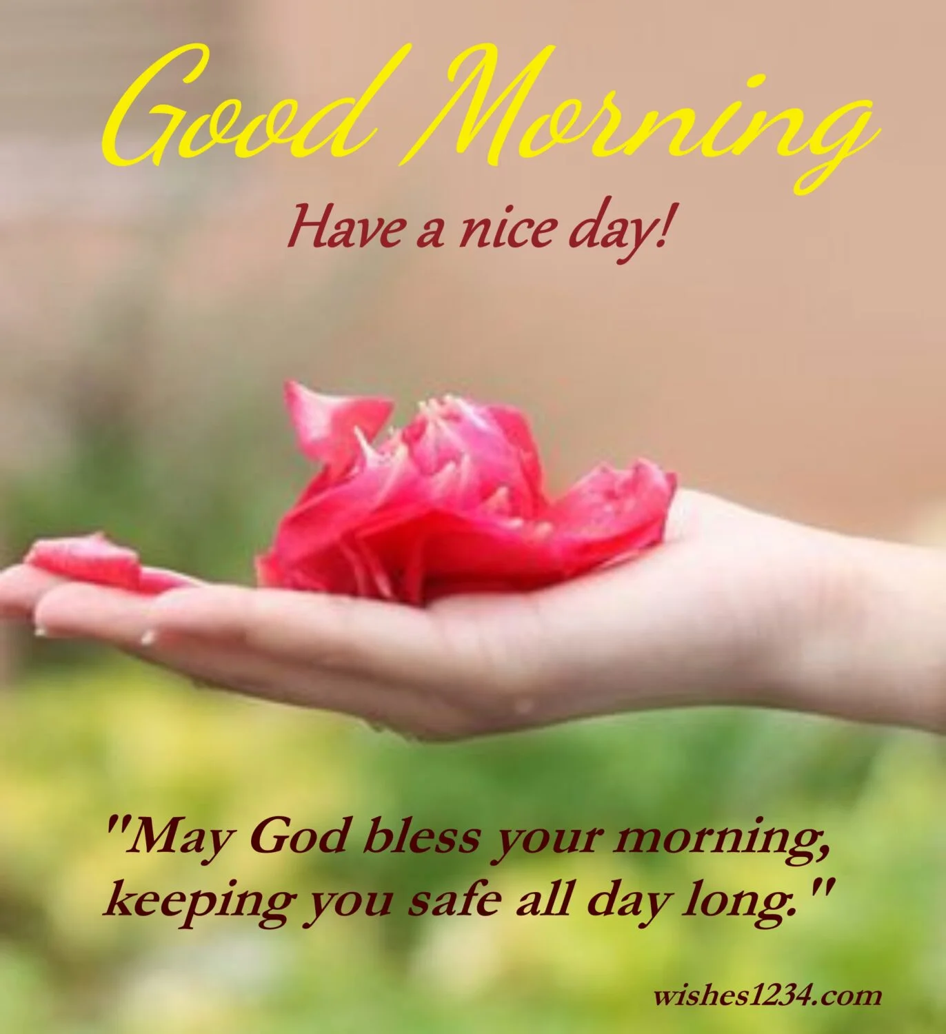 Rose petals in palm, Good Morning Message | Good Morning Images.