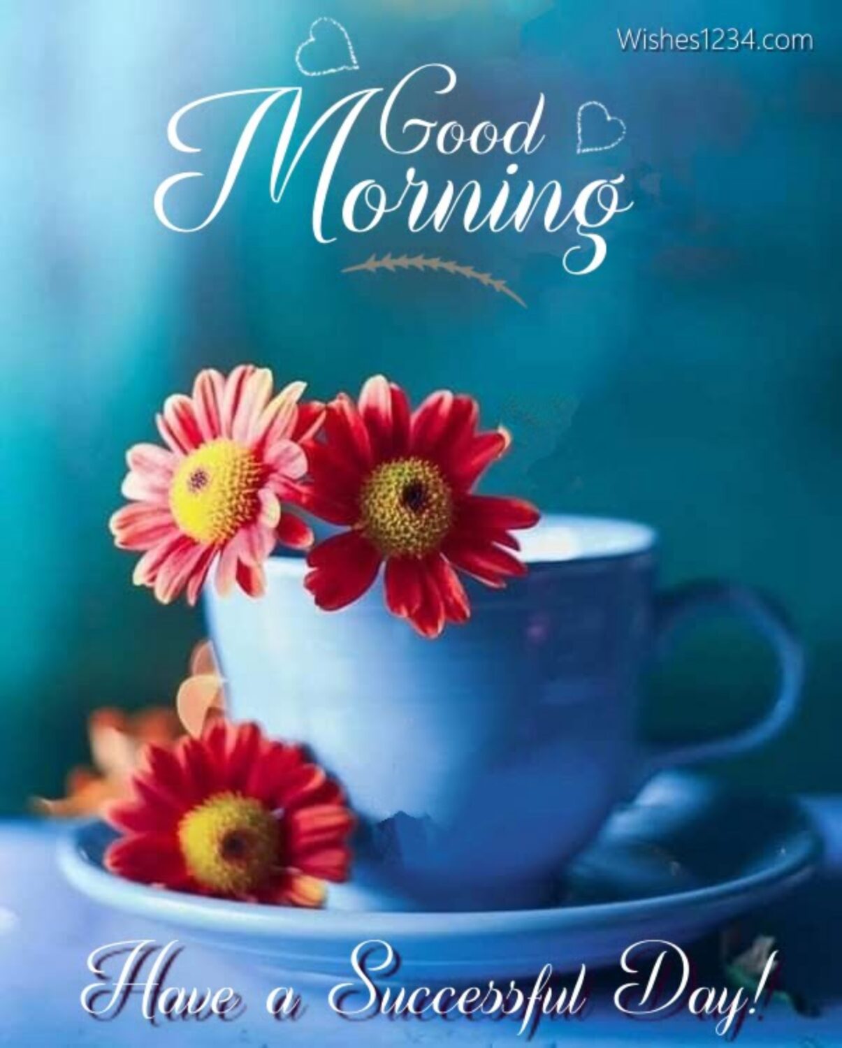 White cup with three red daisies, Good Morning Message | Good Morning Images.