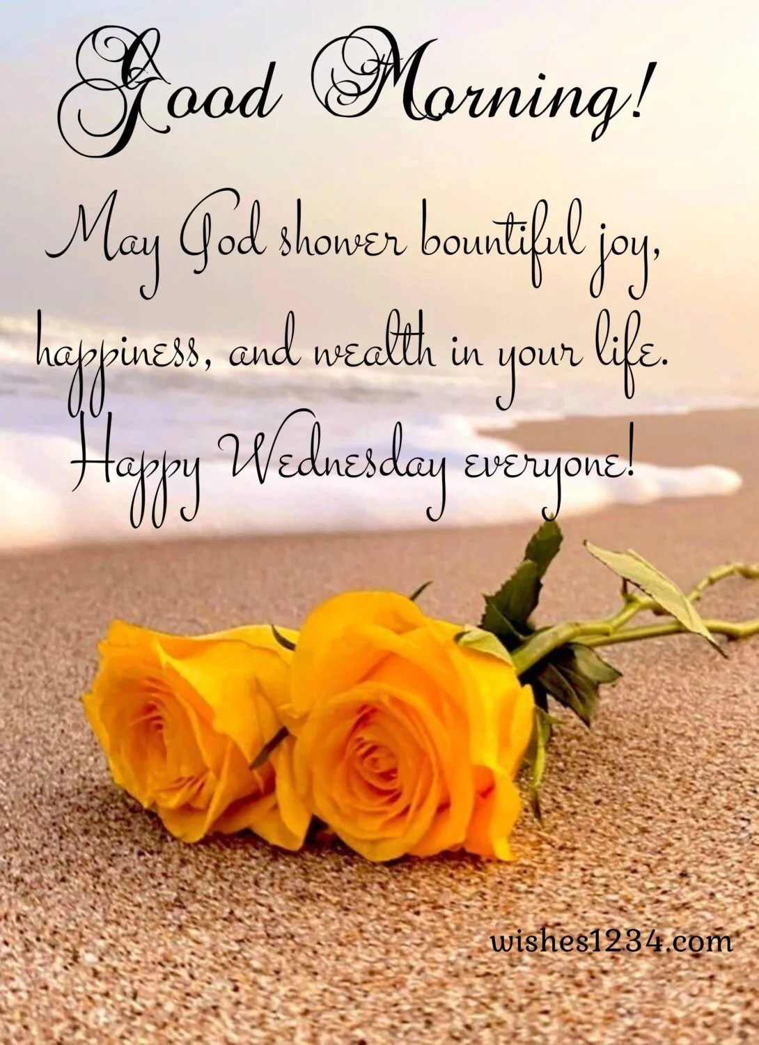Yellow rose flowers on beach, Wednesday Quotes | Wednesday blessings.