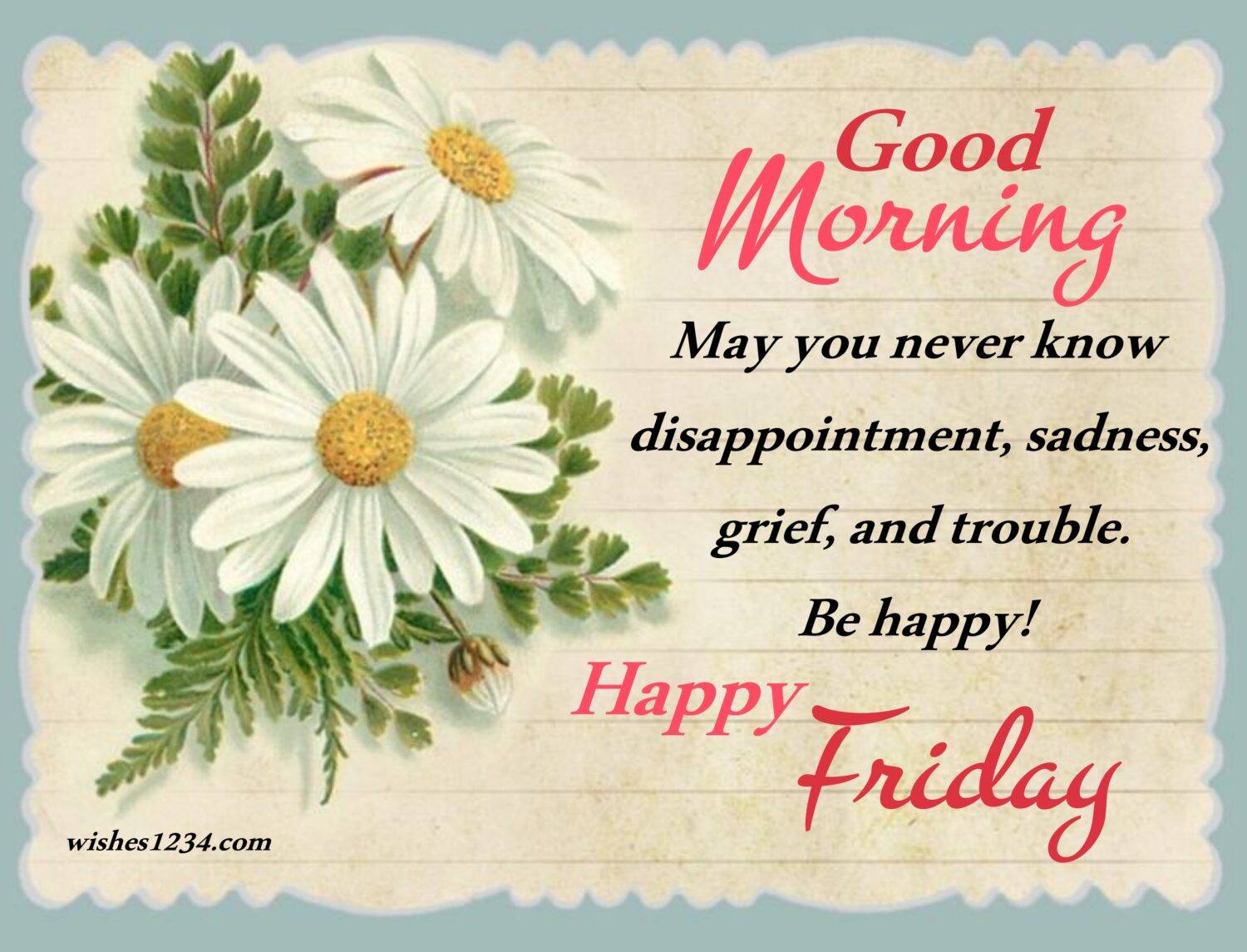 Greeting card with white daisy flower, Friday Quotes | Good Morning Friday | Happy Friday | Blessed Friday Quotes.