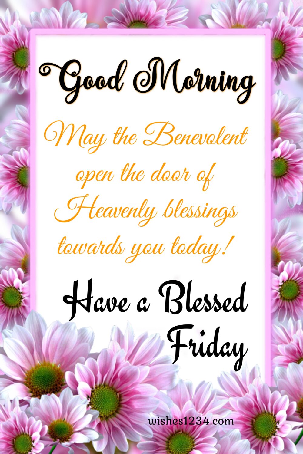 Pink daisy background, Friday Quotes | Good Morning Friday | Happy Friday | Blessed Friday Quotes.