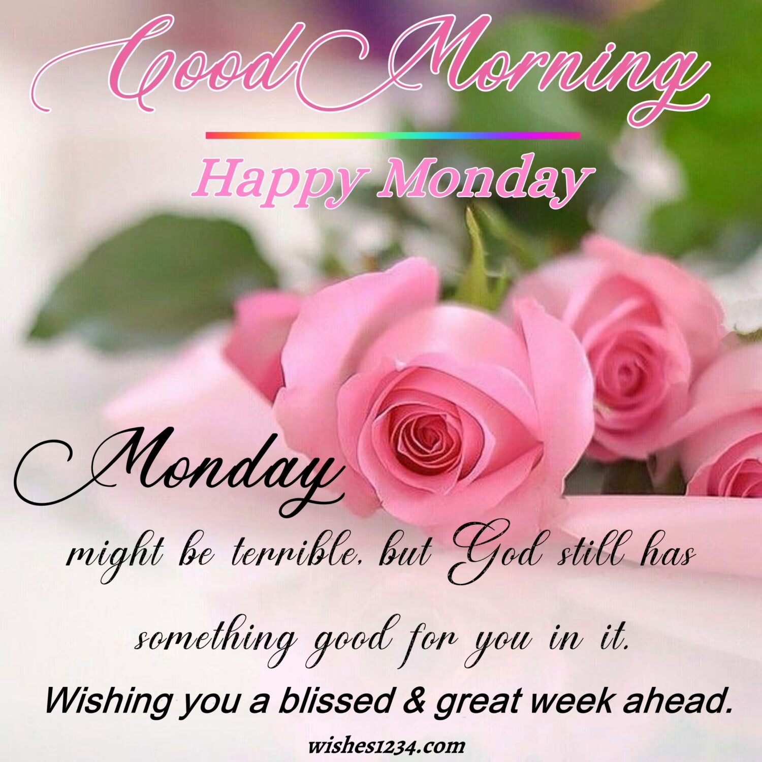 Pink roses background 1,Good Morning Monday | Monday Wishes | Monday quotes