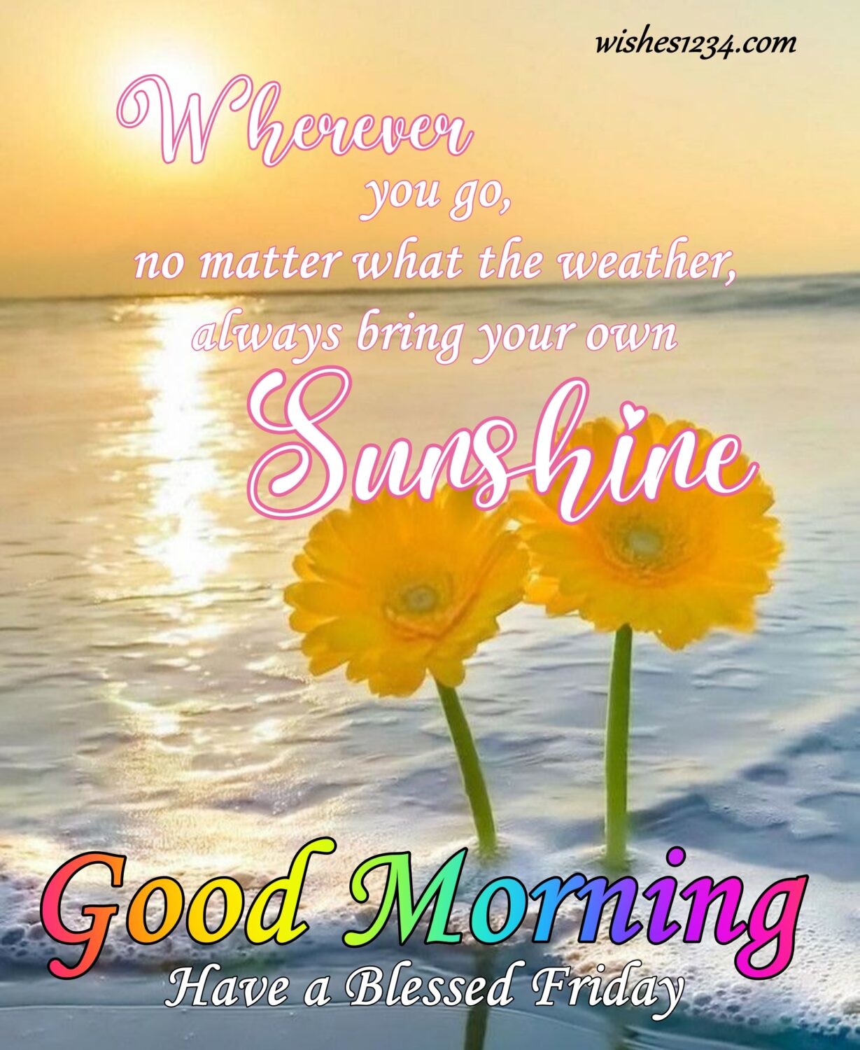Two yellow daisy flower on sea shore, Friday Quotes | Good Morning Friday | Happy Friday | Blessed Friday Quotes.
