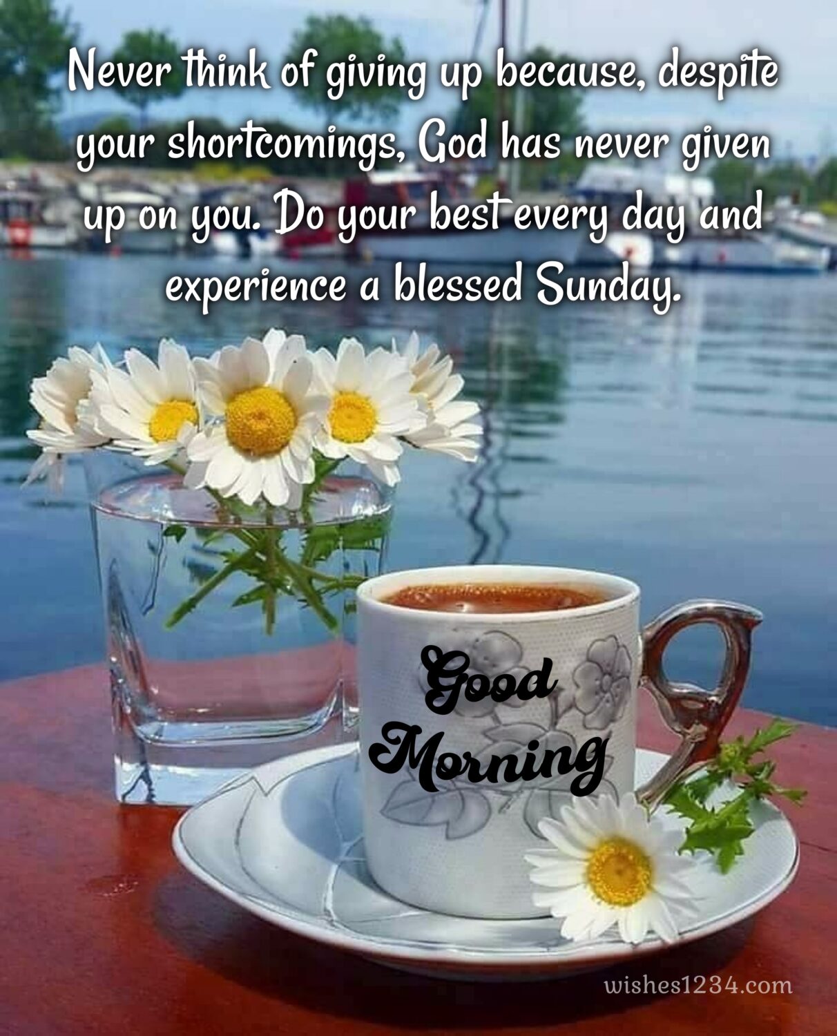 White cup with saucer and white daisy, Happy Sunday Blessings Quotes Images Pictures wishes.
