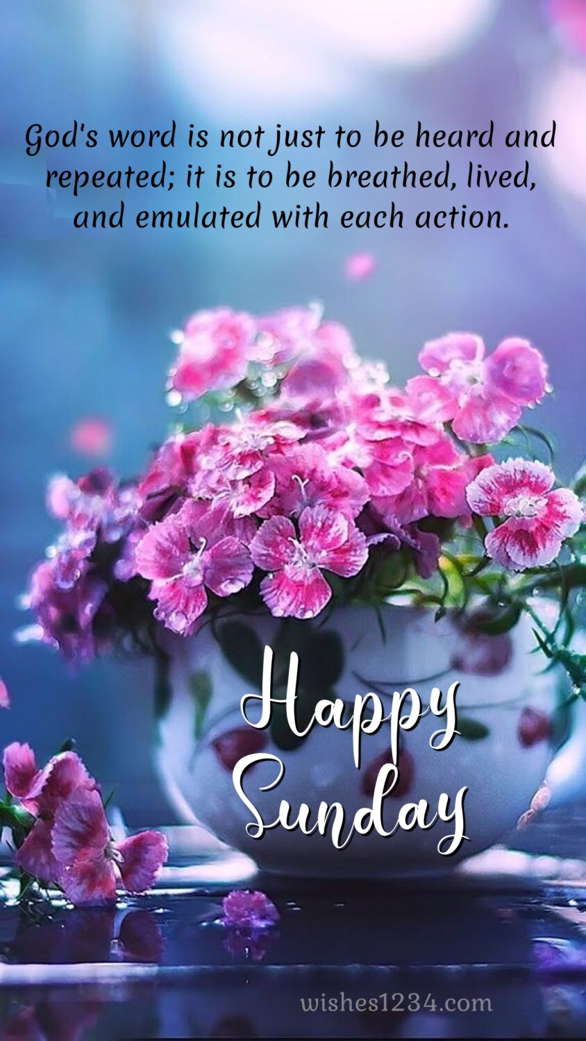 White vase with colourful flowers, Happy Sunday Blessings Quotes Images Pictures wishes.