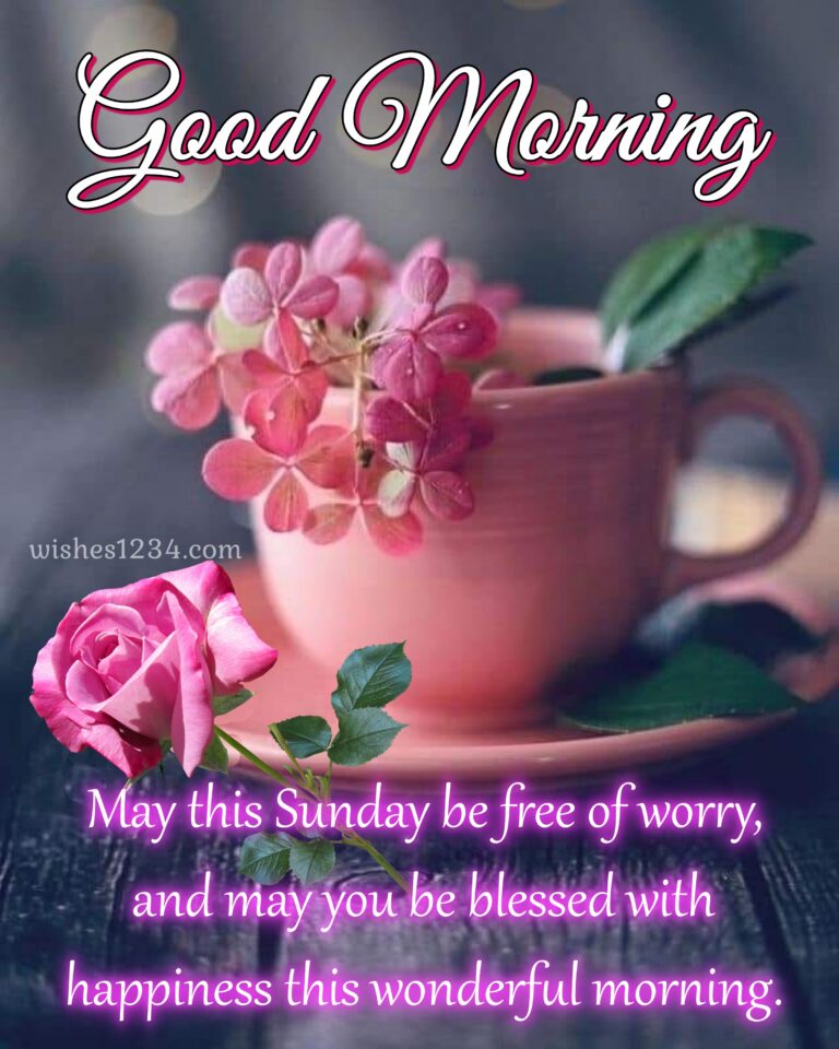 200 Happy Sunday Sunday Blessings Quotes Images wishes