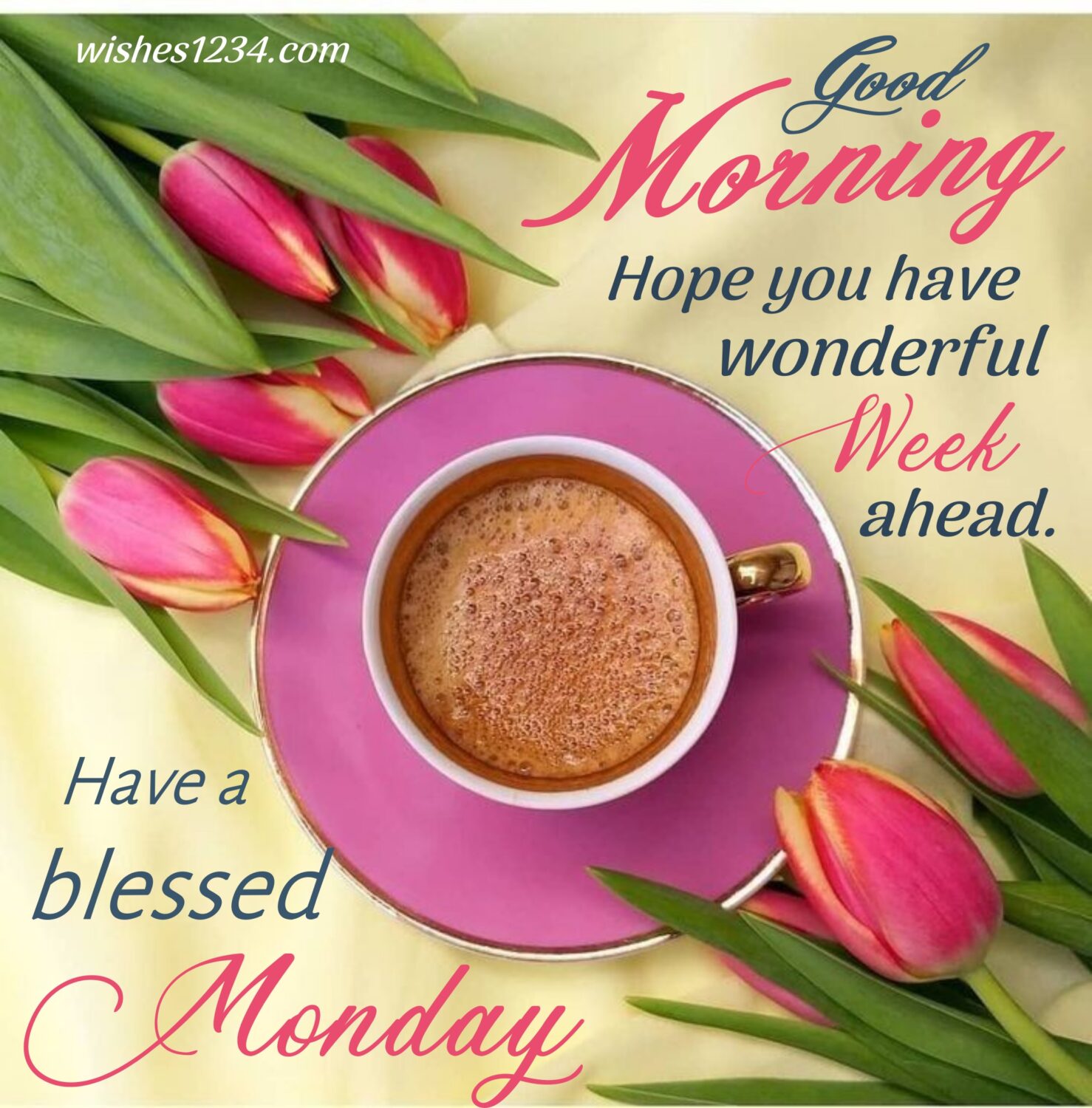 Pink tea cup saucer and pink tulip flowers ,Good Morning Monday| Monday Wishes | Monday quotes