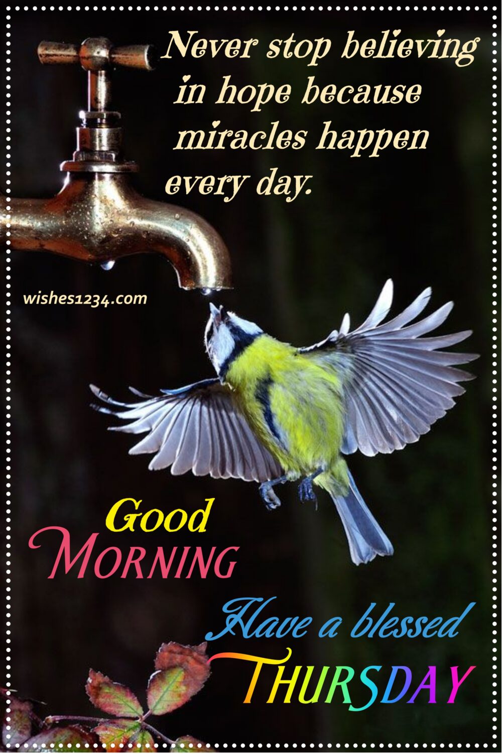 A bird try to drink water from tap, Motivational Thursday quotes.
