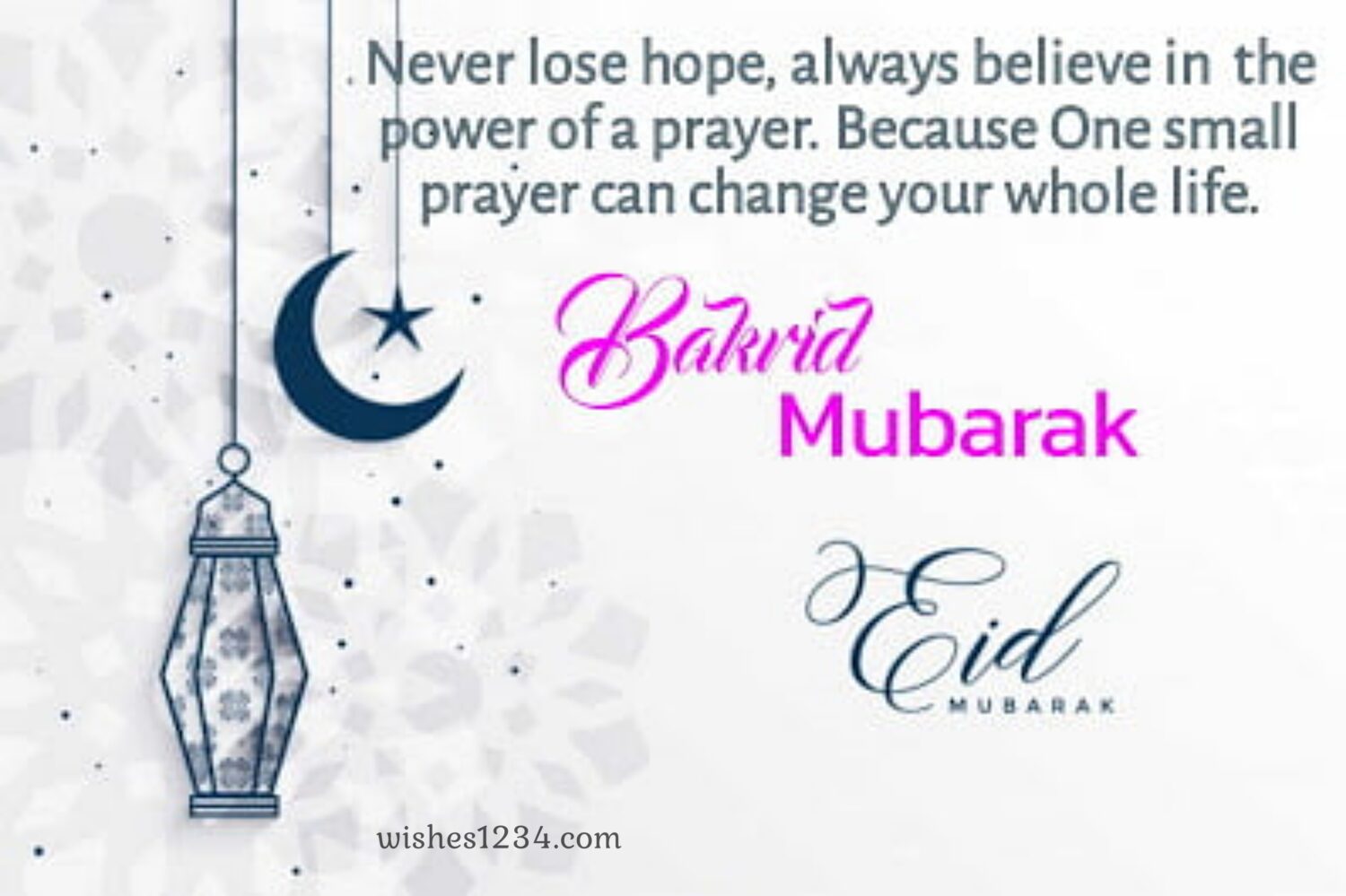 Hanging Lamps, Eid al Adha | Bakrid wishes.