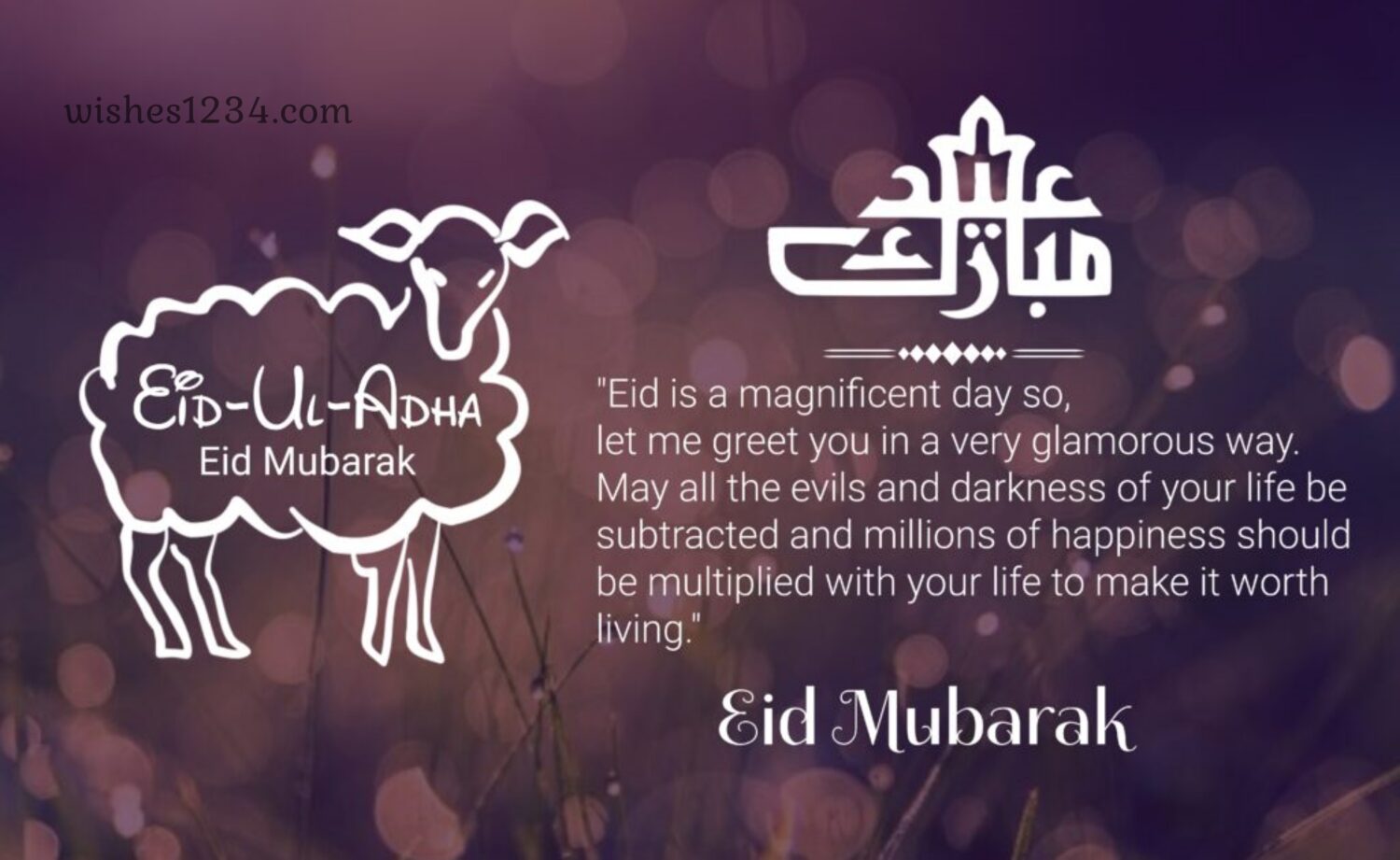 Sheep sketch with calligraphy design Eid mubarak, Eid al Adha | Bakrid wishes.