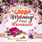 100+ Wednesday quotes, wishes, blessings, messages and happy hump day